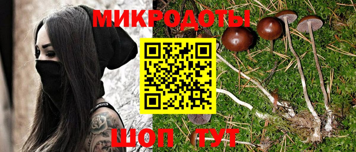 Галлюциногенные грибы Psilocybe Архангельск