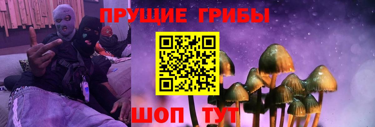 Галлюциногенные грибы MAGIC MUSHROOMS  Вход с VPN  Архангельск 